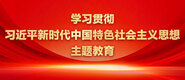 免费看艹逼视频的网站学习贯彻习近平新时代中国特色社会主义思想主题教育_fororder_ad-371X160(2)